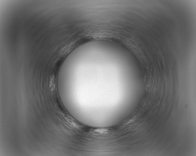 X0000060270478200510281040