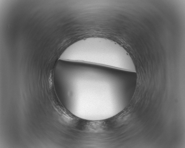 X0000060270479200510281040