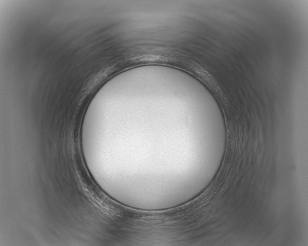 X0000060270482200510281039
