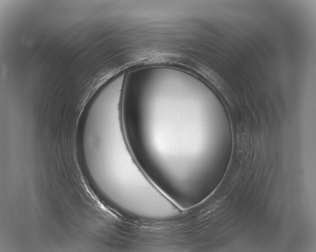 X0000060270485200510281039