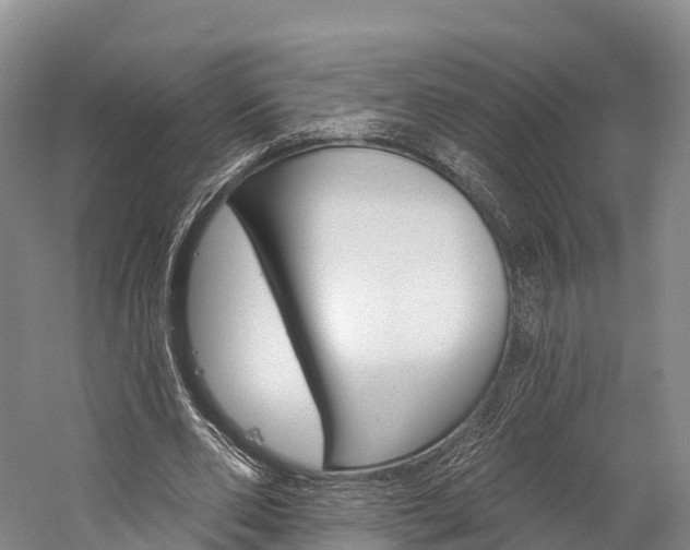 X0000060270486200510281039