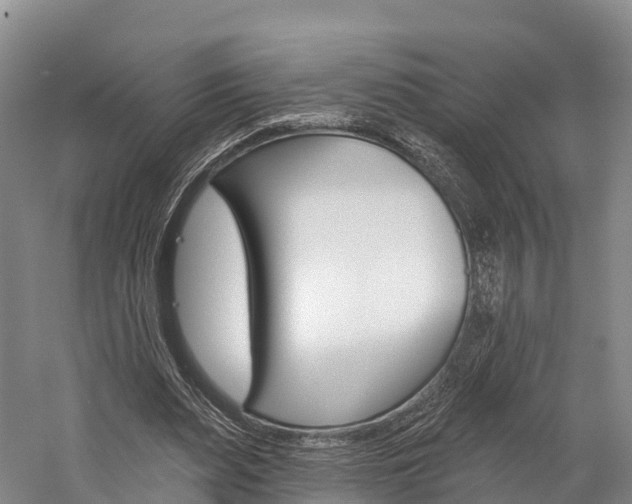 X0000060270487200510281039