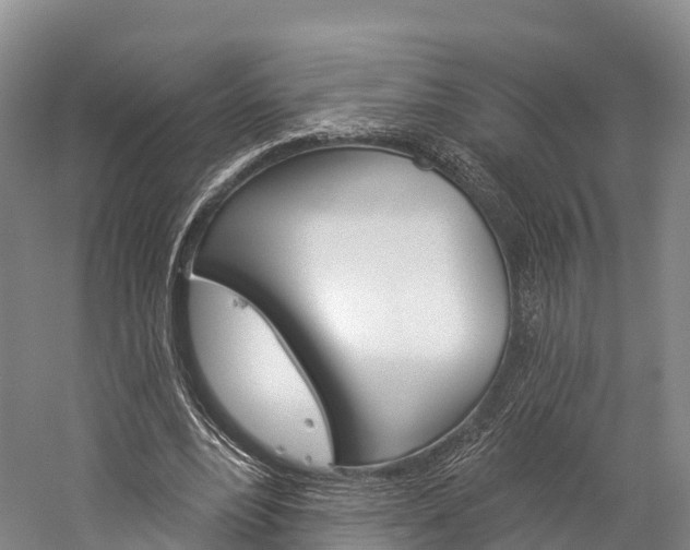 X0000060270488200510281039
