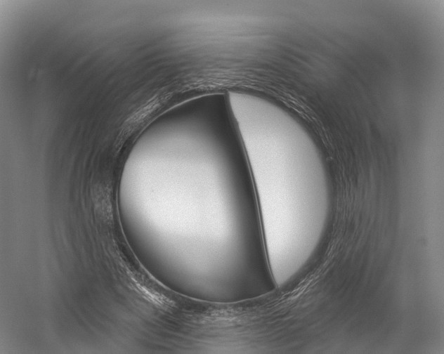 X0000060270489200510281039