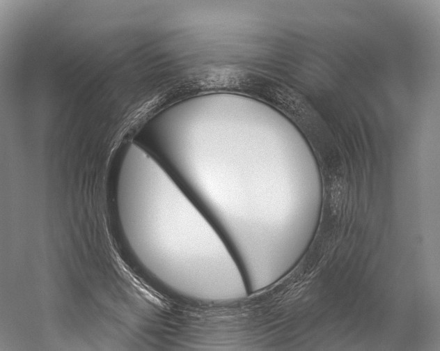 X0000060270490200510281039