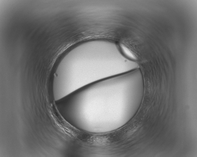 X0000060270491200510281039