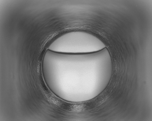 X0000060270495200510281039