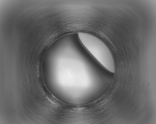 X0000060270497200510281039