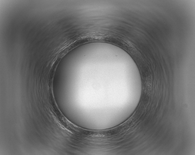 X0000060270500200510281039