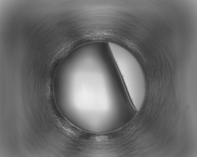 X0000060270501200510281039