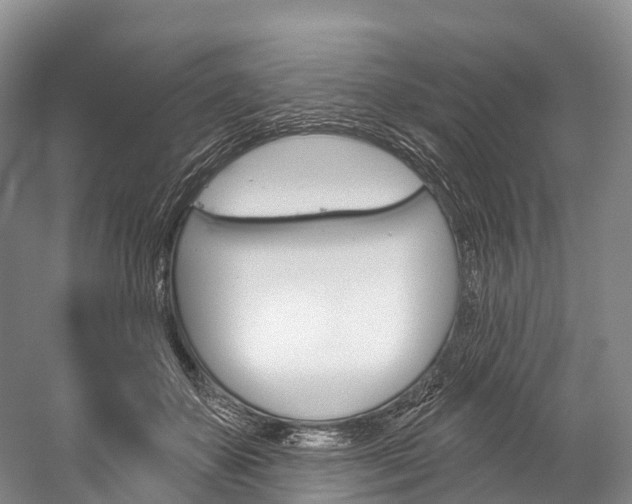 X0000060270507200510281038