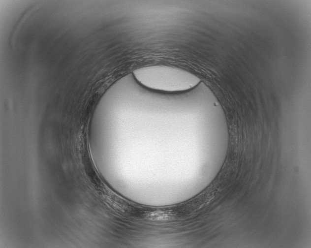X0000060270511200510281038