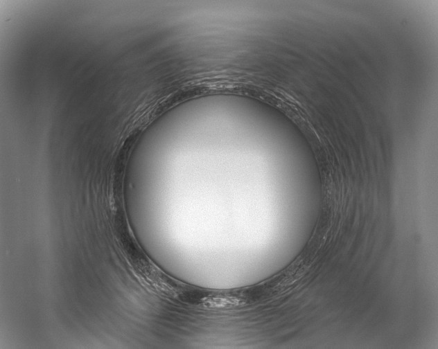 X0000060270512200510281038