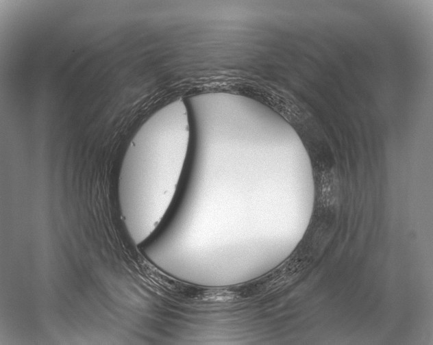 X0000060270514200510281038