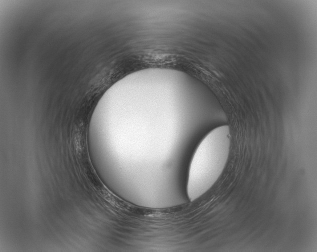 X0000060270515200510281038