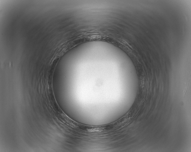 X0000060270516200510281038