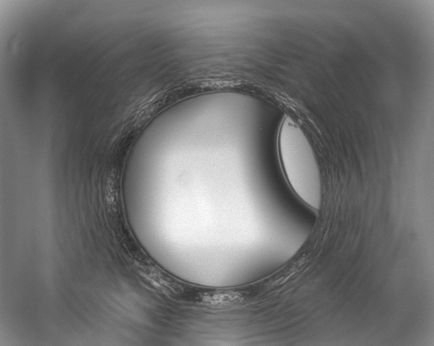 X0000060270517200510281038