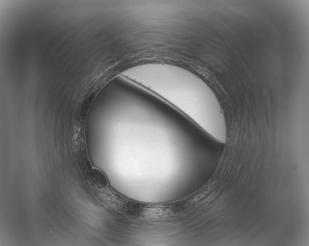 X0000060270521200510281038