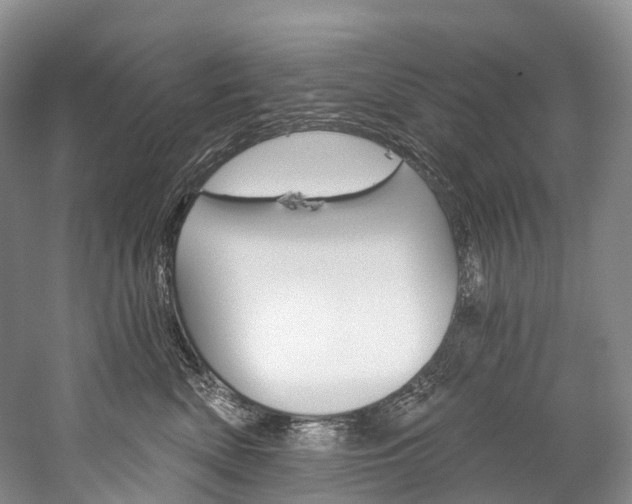 X0000060270522200510281038
