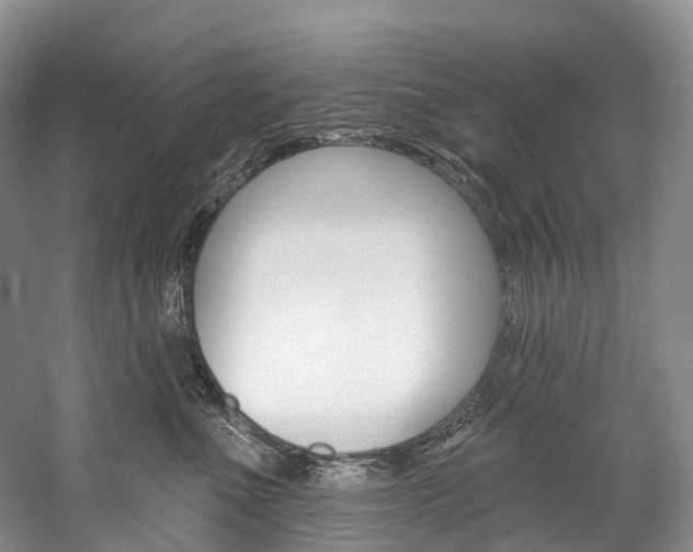 X0000060270523200510281038