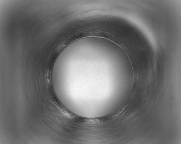 X0000060270525200510281038