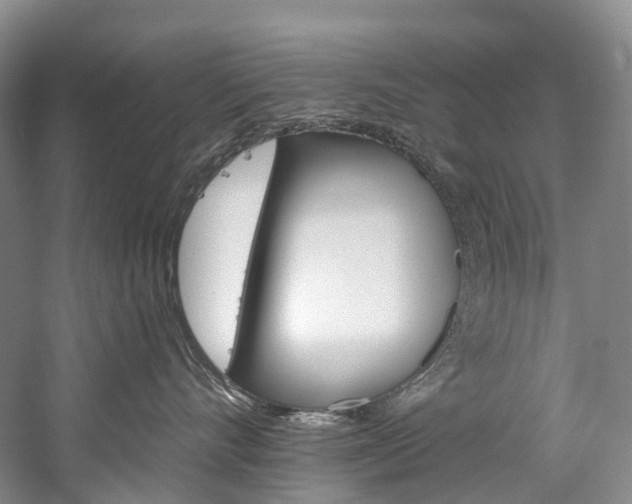 X0000060270528200510281038