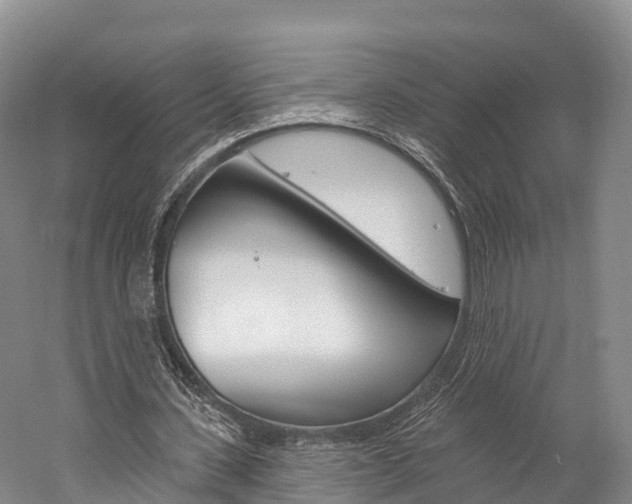 X0000060270531200510281037