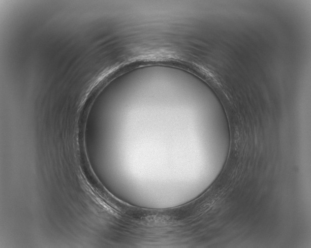 X0000060270535200510281037