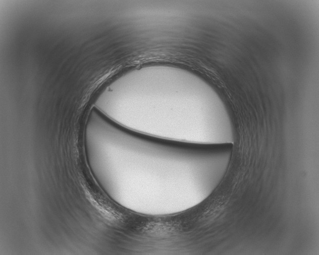X0000060270538200510281037