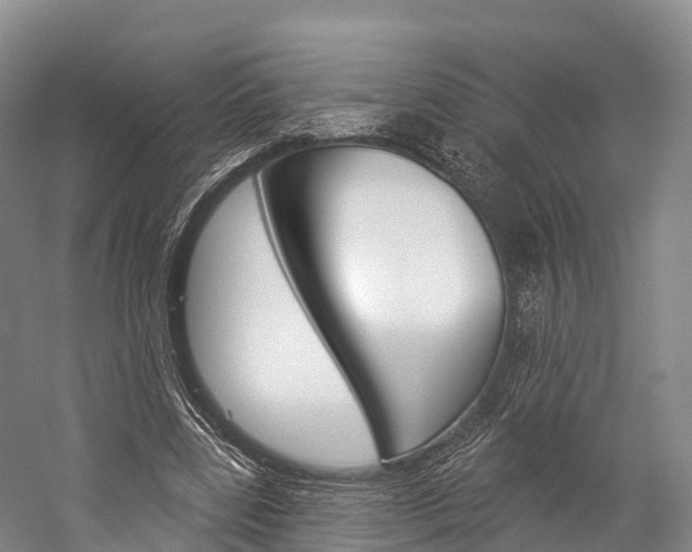 X0000060270539200510281037