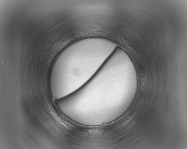 X0000060270541200510281037
