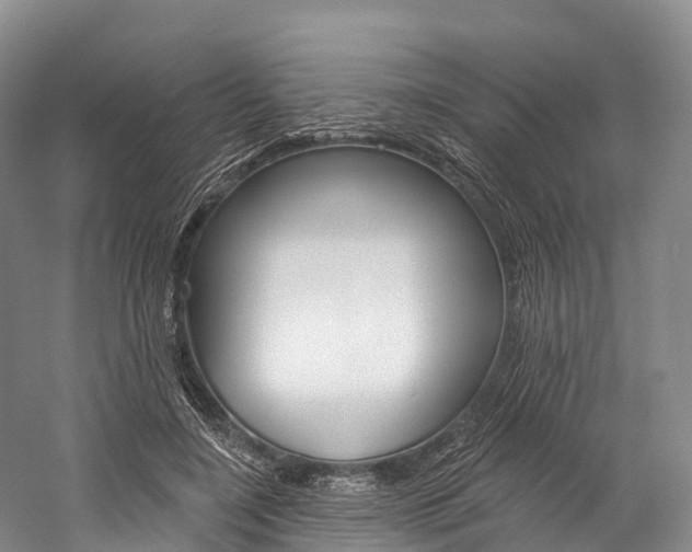 X0000060270548200510281038