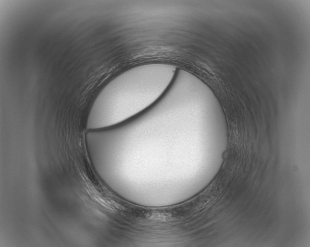 X0000060270549200510281038