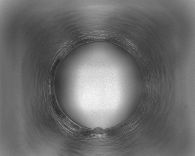 X0000060270552200510281038