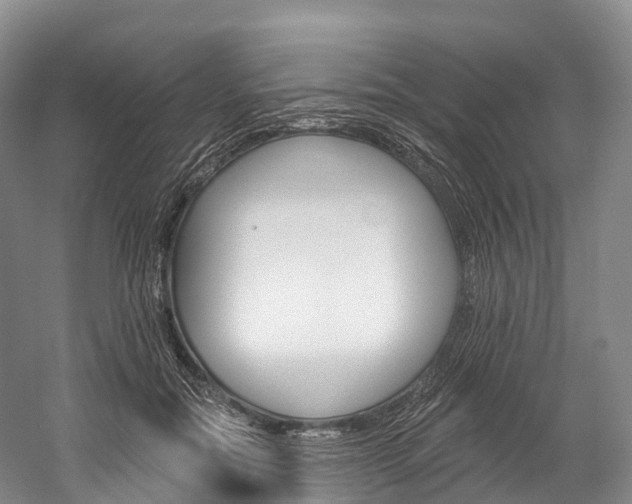 X0000060270554200510281038