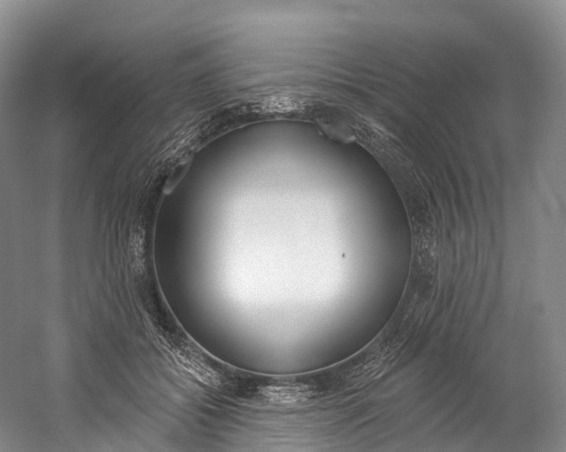 X0000060270556200510281038
