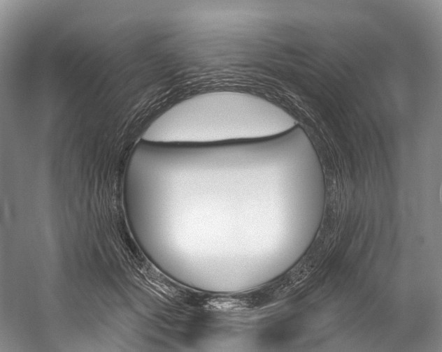 X0000060270557200510281038