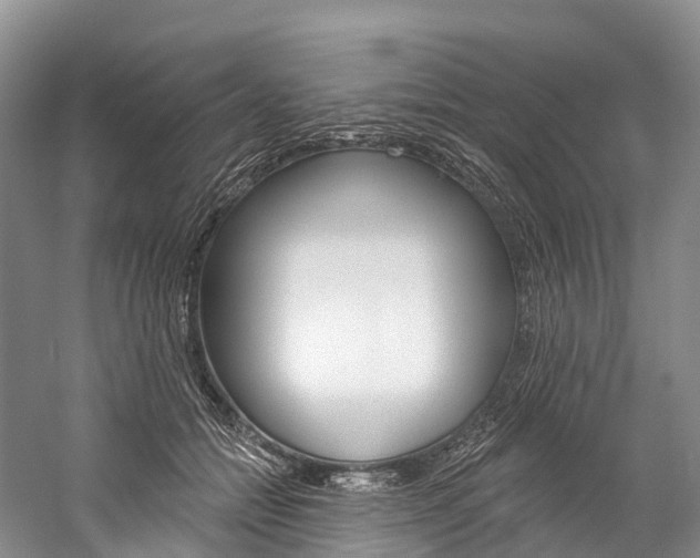 X0000060270558200510281038