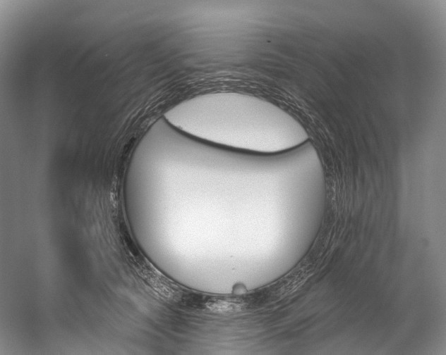 X0000060270561200510281038