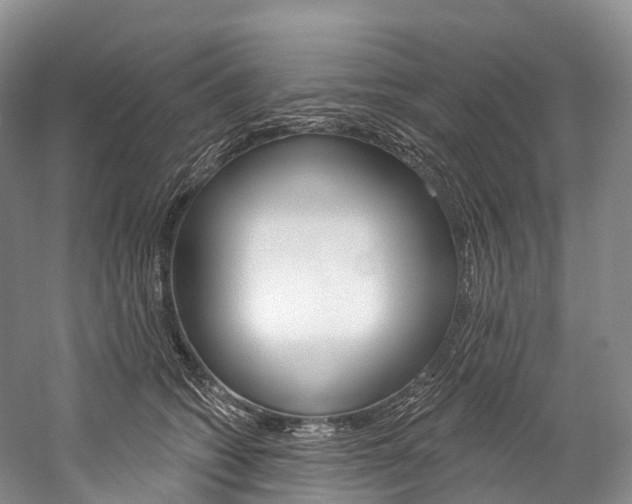 X0000060270562200510281038