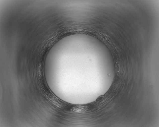 X0000060270563200510281038