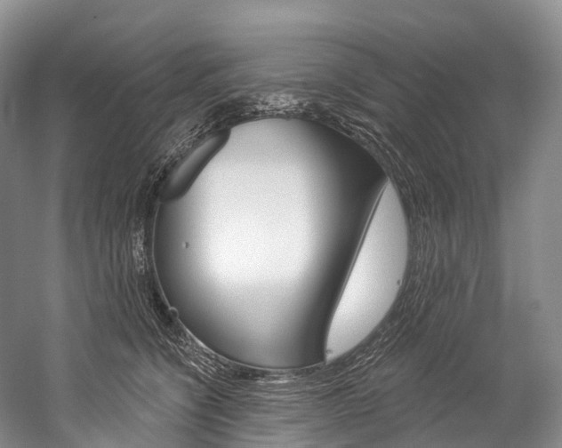 X0000060270564200510281038