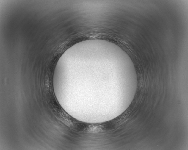 X0000060270569200510281038
