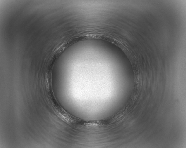 X0000060270572200510281038