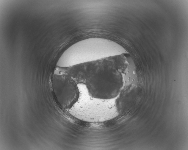 X0000060270573200510281038