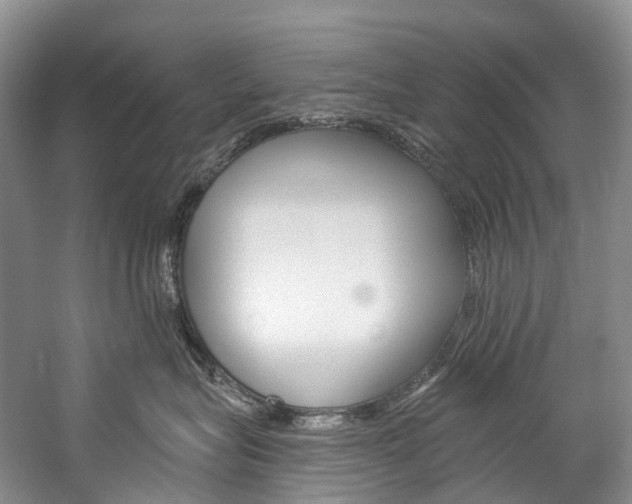 X0000060270575200510281038