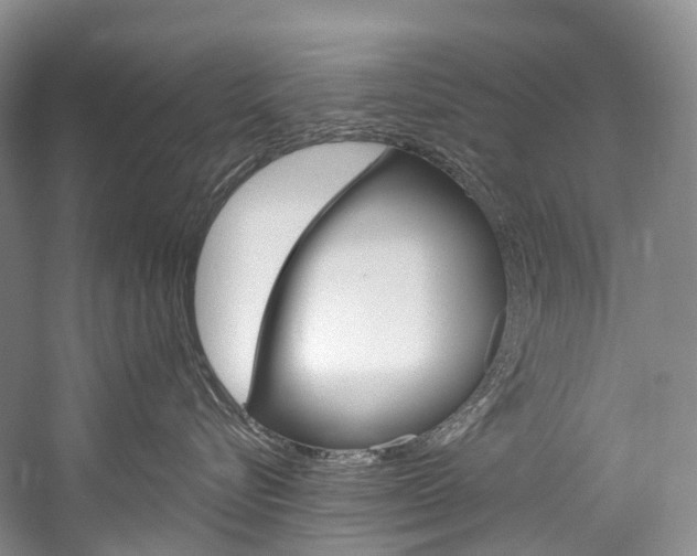 X0000060270576200510281038