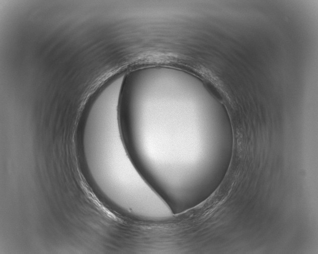 X0000060270581200510281037