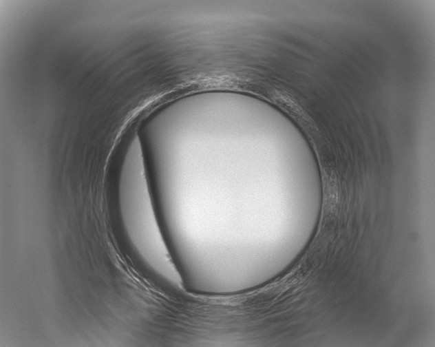 X0000060270583200510281037