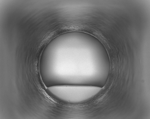 X0000060270585200510281037
